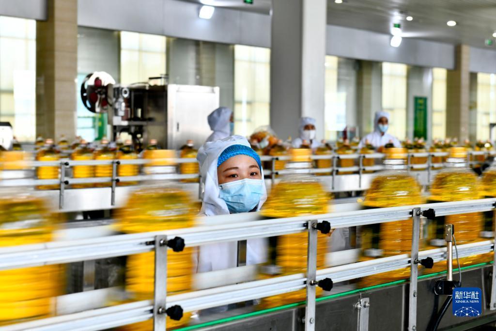 澳门新永利113